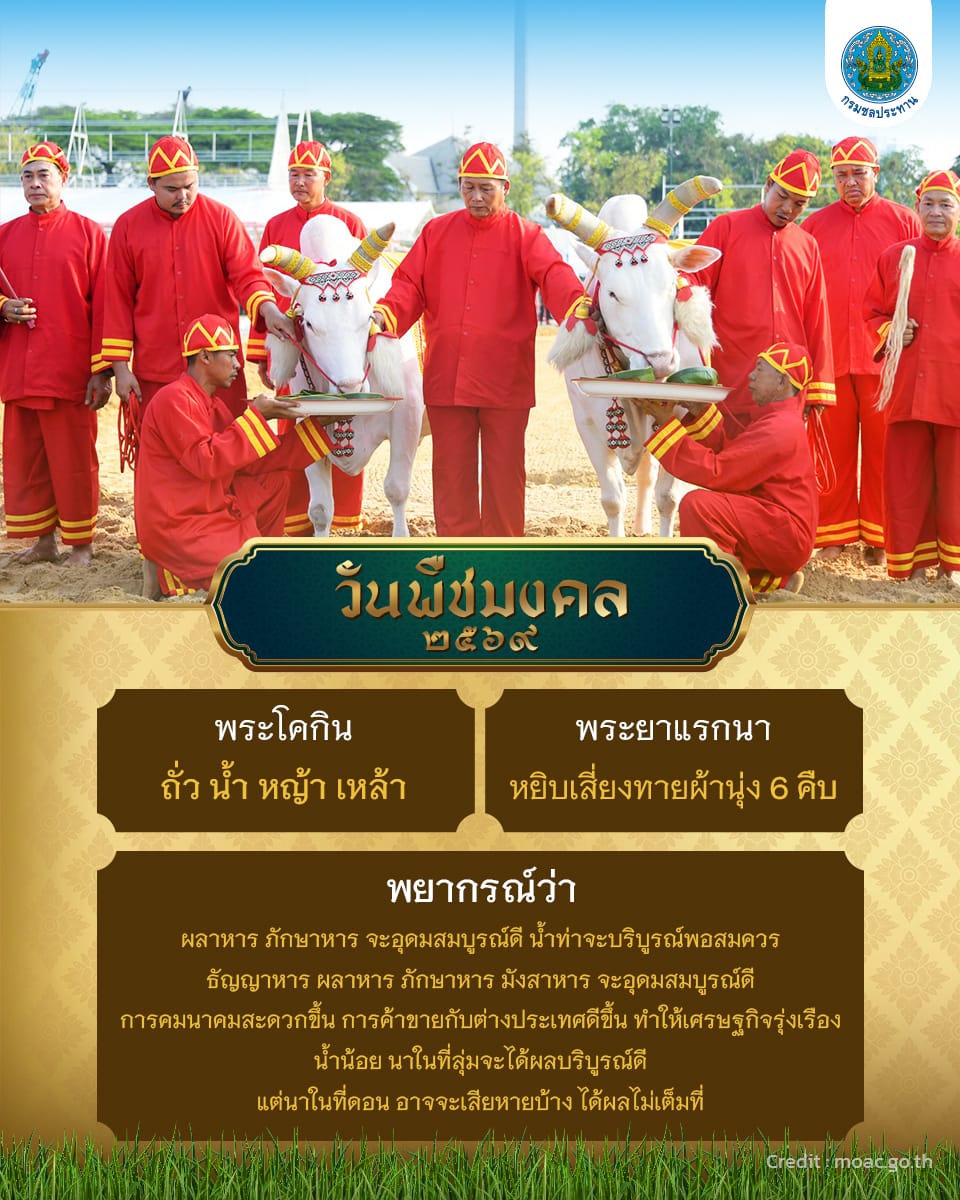 วันพืชมงคล ปีนี้ พระโค “กินถั่ว น้ำ หญ้า เหล้า”